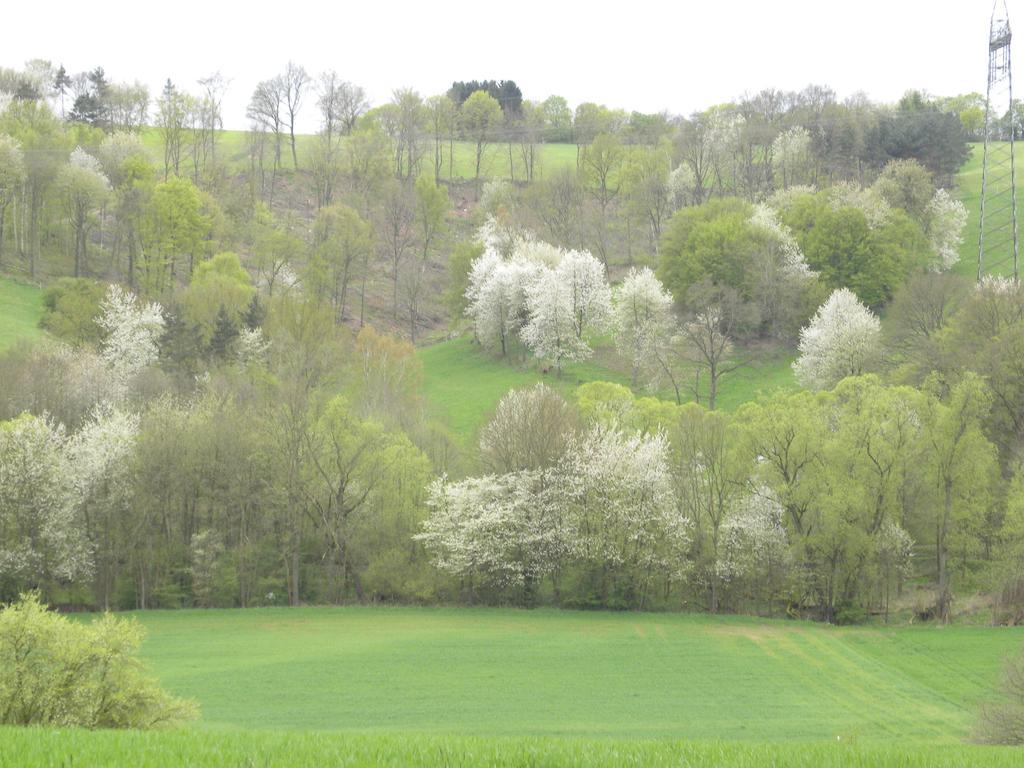 Thueringer Hof Hotell Richelsdorf Exteriör bild